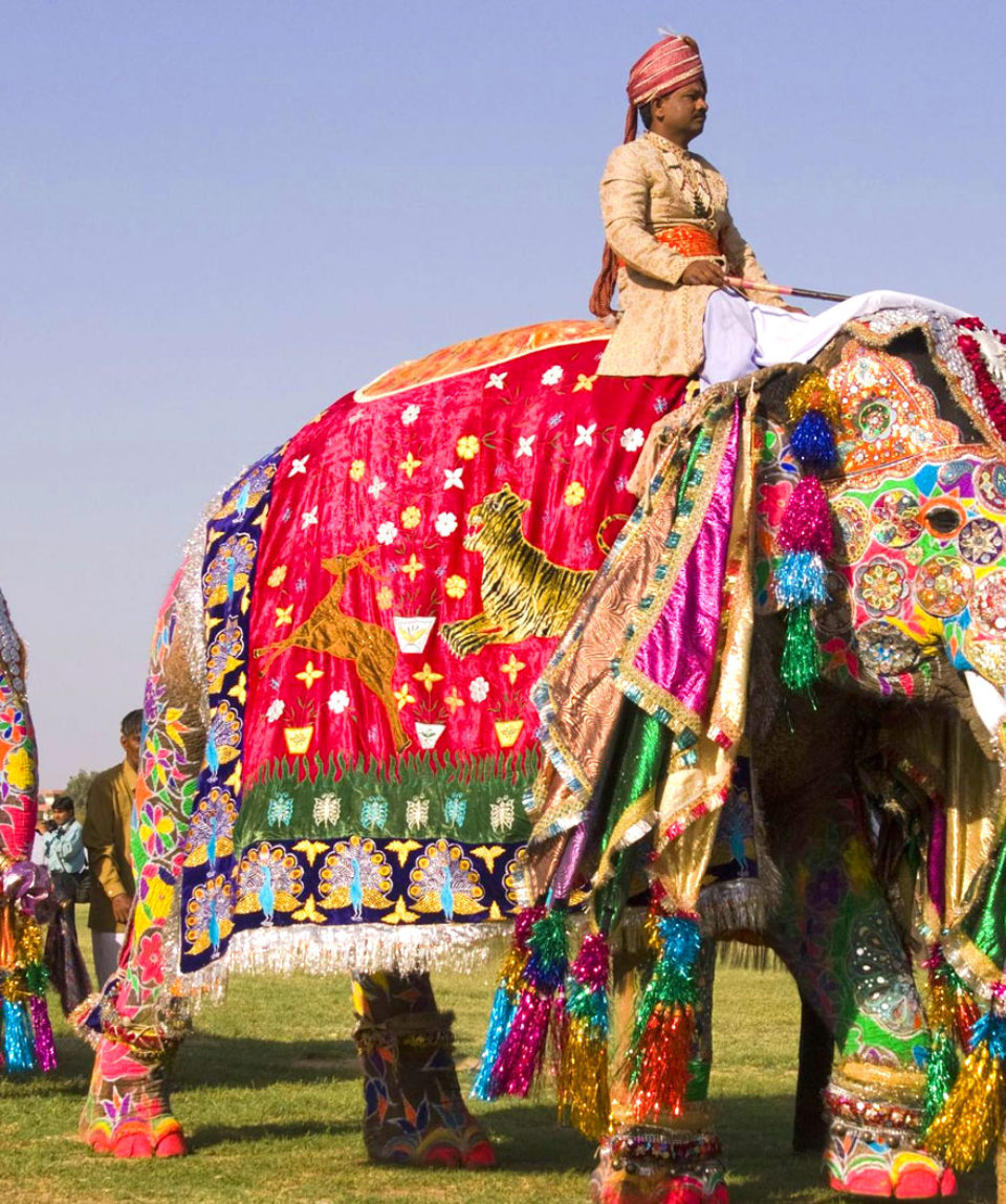 Rajasthan Camel Safari