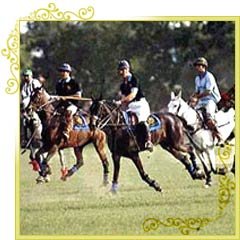 Polo Sport in Rajasthan
