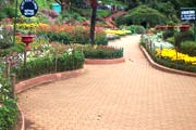 Botanical Garden, Mysore
