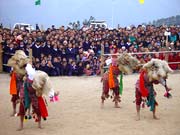 Mompa Dance, Ziro