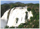 Water Fall, Karnataka